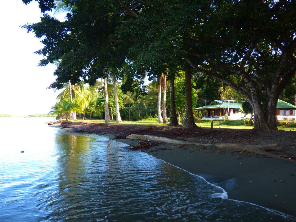 Corcovado Beach Lodge Пуэрто-Хименес Экстерьер фото