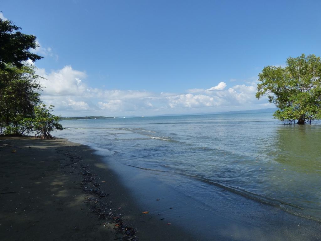 Corcovado Beach Lodge Пуэрто-Хименес Экстерьер фото