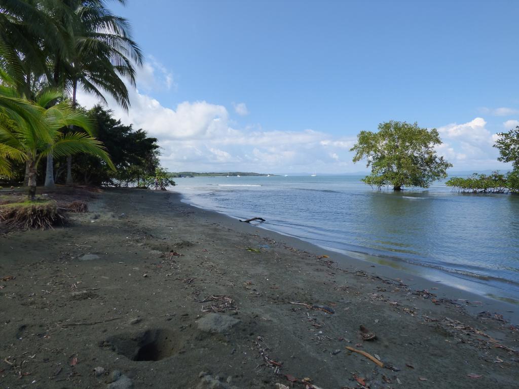 Corcovado Beach Lodge Пуэрто-Хименес Экстерьер фото