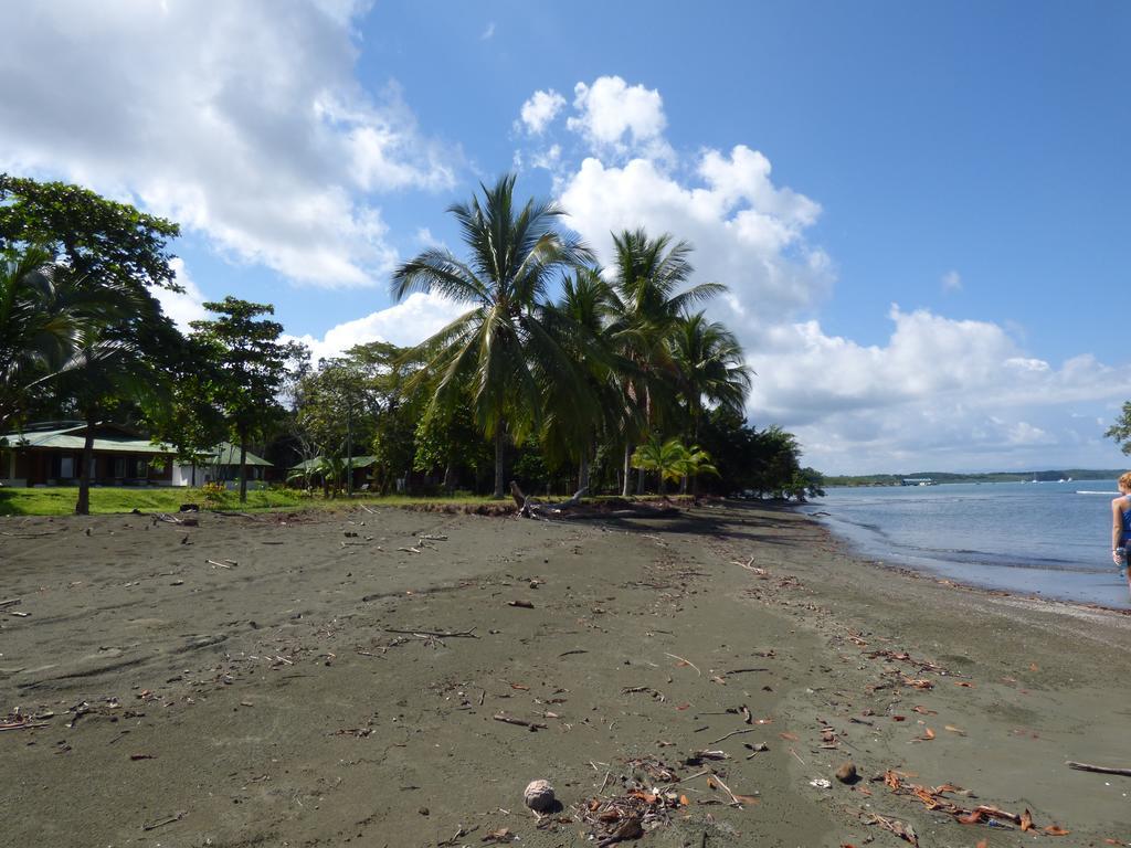 Corcovado Beach Lodge Пуэрто-Хименес Экстерьер фото