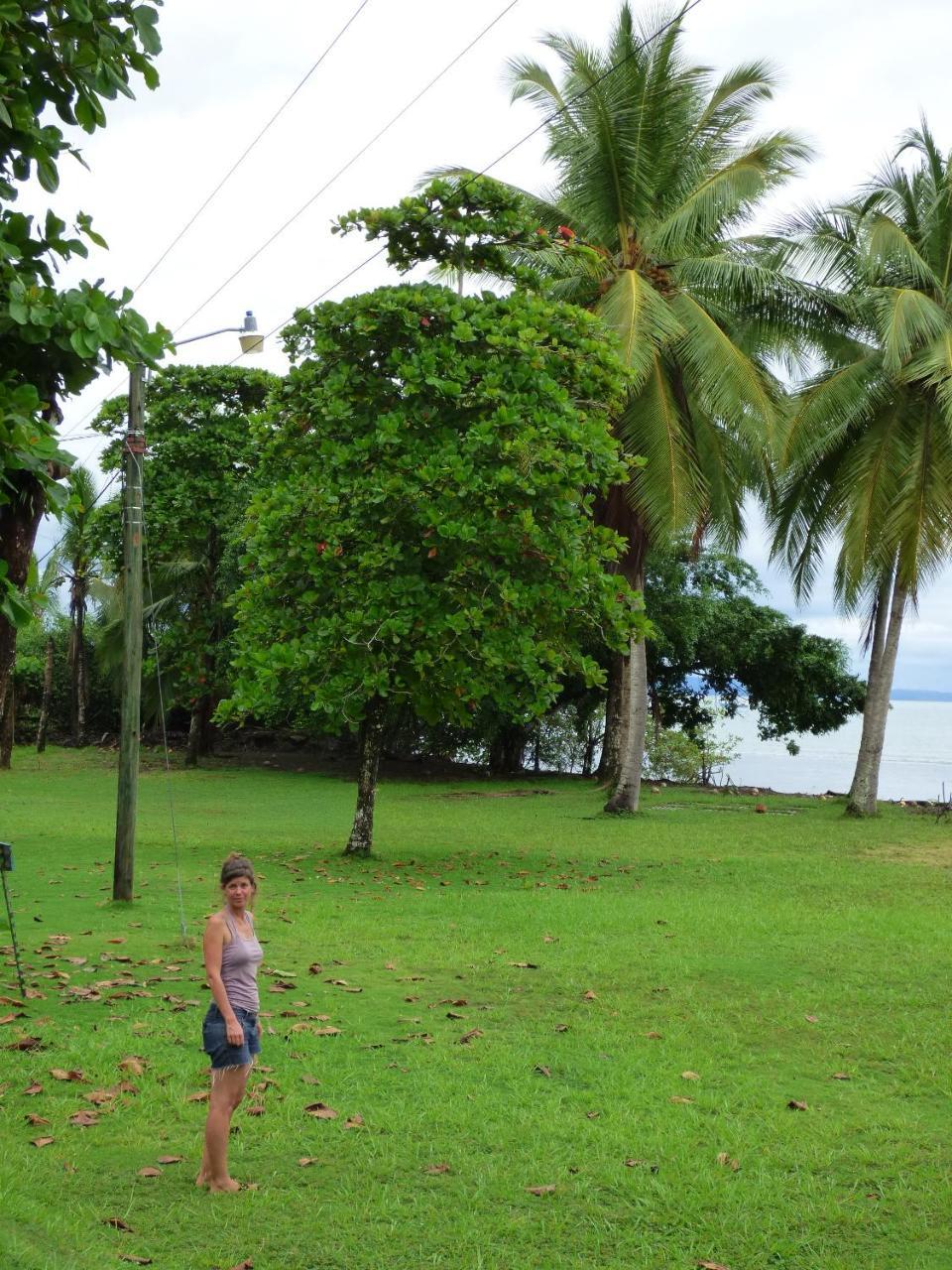 Corcovado Beach Lodge Пуэрто-Хименес Экстерьер фото